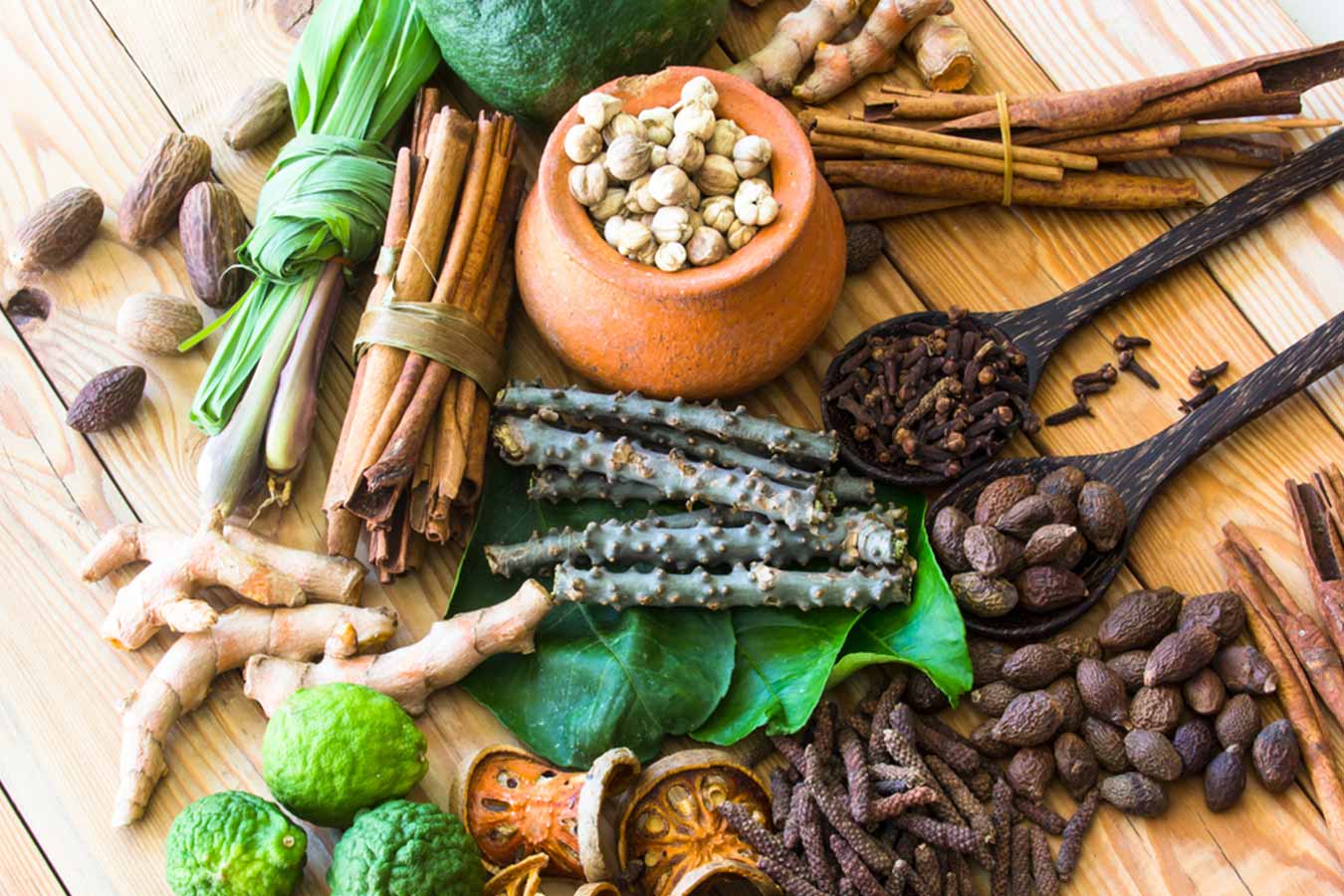 Ayurvedic medicines icon
